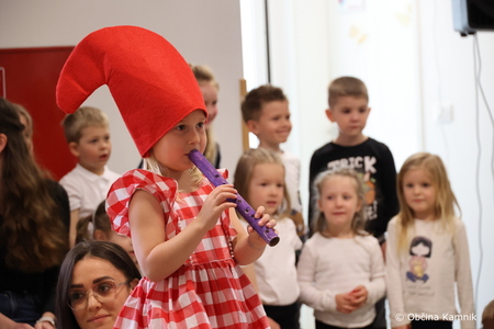 Kamnik, moje mesto (24)